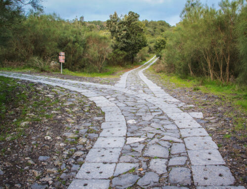 Reduce Your Decision Points