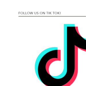 TikTok Connect Icon